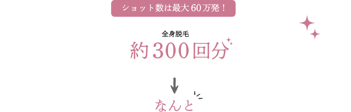ショット数は最大６０万発！